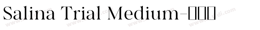 Salina Trial Medium字体转换